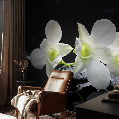 Papel mural con patrón decorativo Flores y piedras