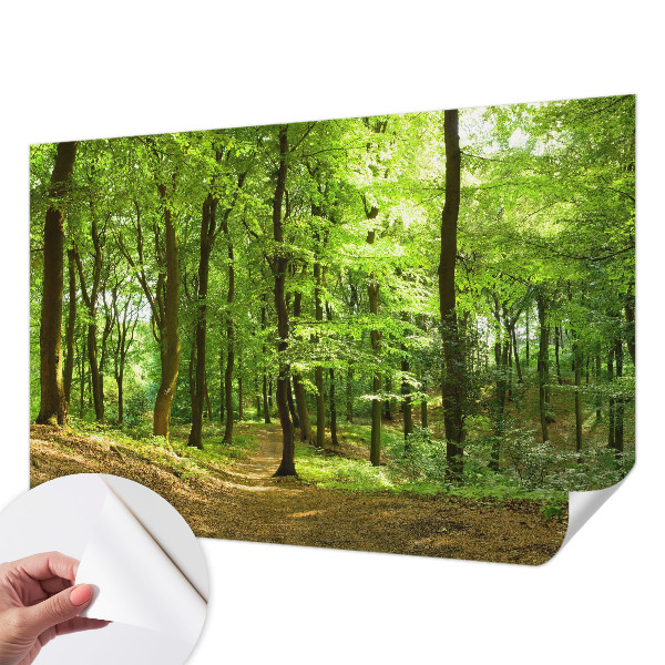 Fotomural decorativo para cabecero de cama con diseño de sendero natural