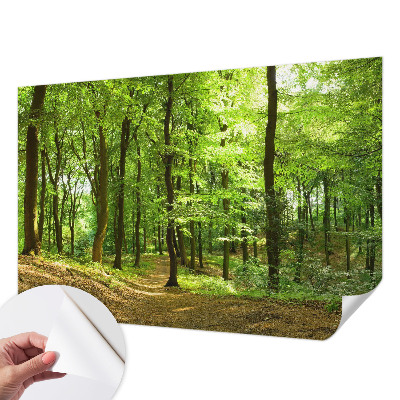 Fotomural decorativo para cabecero de cama con diseño de sendero natural