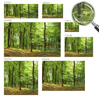 Fotomural decorativo para cabecero de cama con diseño de sendero natural