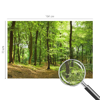Fotomural decorativo para cabecero de cama con diseño de sendero natural