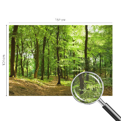 Fotomural decorativo para cabecero de cama Sendero natural