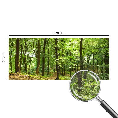 Fotomural decorativo para cabecero de cama Sendero natural