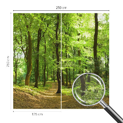 Fotomural decorativo para cabecero de cama Sendero natural