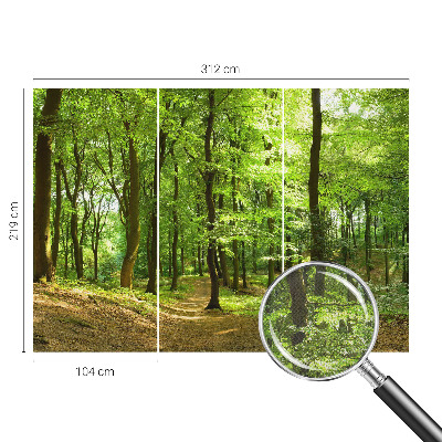 Fotomural decorativo para cabecero de cama Sendero natural