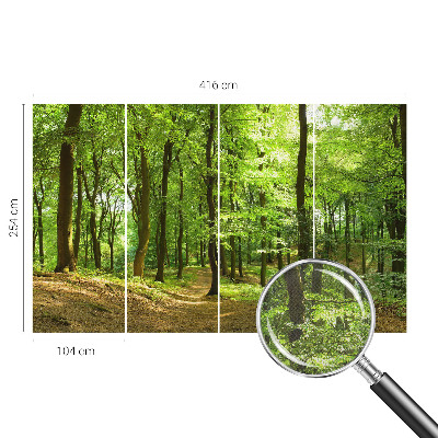 Fotomural decorativo para cabecero de cama Sendero natural