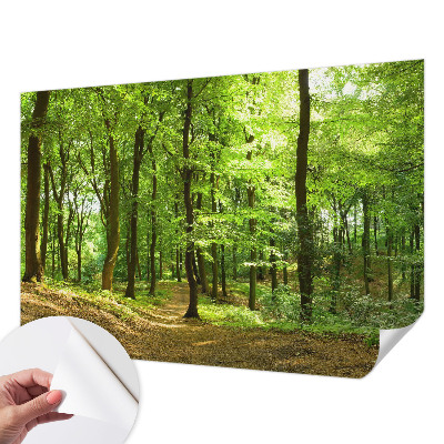 Fotomural decorativo para cabecero de cama con diseño de sendero natural