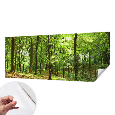 Fotomural decorativo para cabecero de cama con diseño de sendero natural