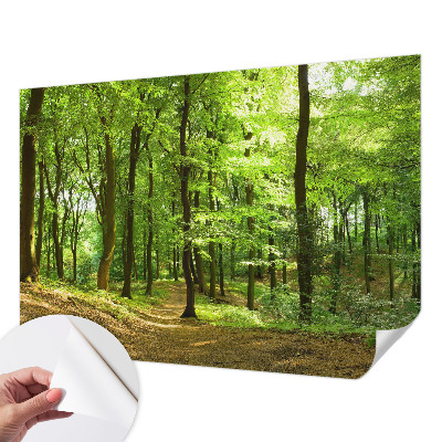 Fotomural decorativo para cabecero de cama con diseño de sendero natural
