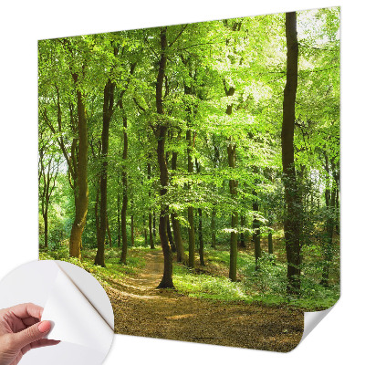 Fotomural decorativo para cabecero de cama con diseño de sendero natural