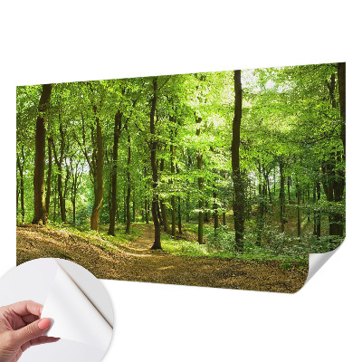 Fotomural decorativo para cabecero de cama con diseño de sendero natural