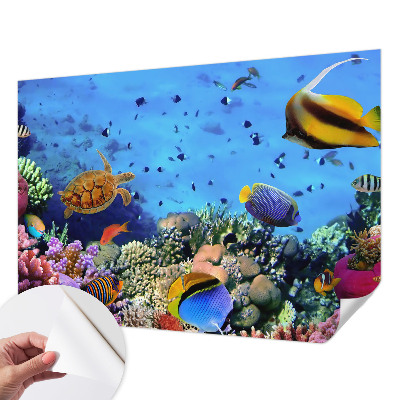 Papel mural con patrón decorativo con motivo de arrecife de coral