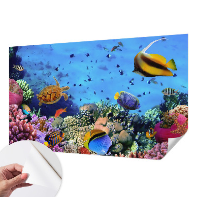 Papel mural con patrón decorativo con motivo de arrecife de coral