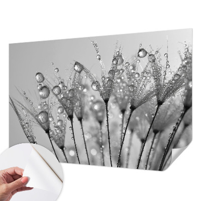 Papel mural con patrón decorativo con acabado que resalta una delicadeza húmeda