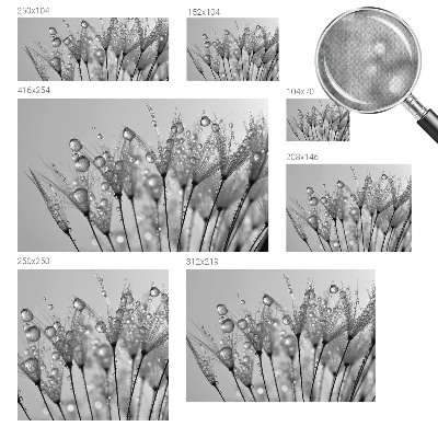 Papel mural con patrón decorativo Delicadeza húmeda