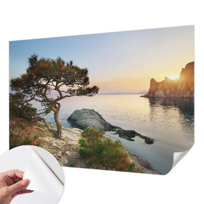 Mural de pared con estampado hermoso Naturaleza pacífica