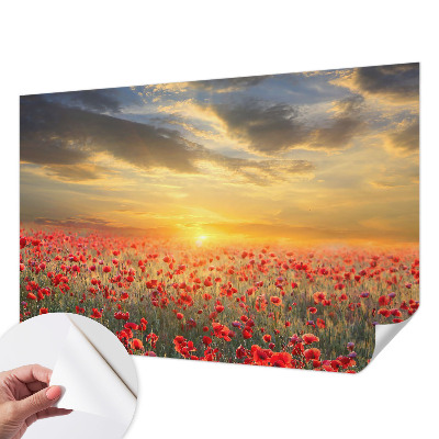 Papel mural texturado decorativo con diseño de campo de amapolas