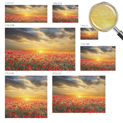 Papel mural texturado decorativo con diseño de campo de amapolas