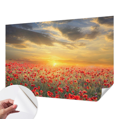 Papel mural texturado decorativo con diseño de campo de amapolas