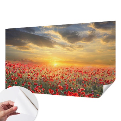 Papel mural texturado decorativo con diseño de campo de amapolas