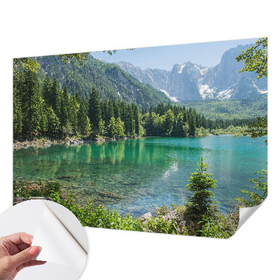Mural de pared con estampado hermoso con motivo de lago en tonos verdes