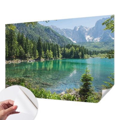 Mural de pared con estampado hermoso con motivo de lago en tonos verdes