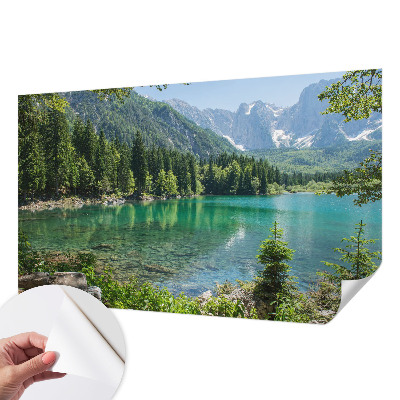 Mural de pared con estampado hermoso con motivo de lago en tonos verdes