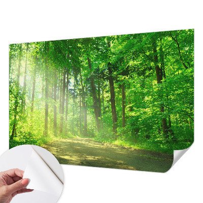 Fotomural decorativo para cabecero de cama con un motivo de sendero forestal