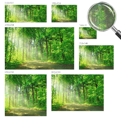 Fotomural decorativo para cabecero de cama con un motivo de sendero forestal