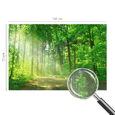 Fotomural decorativo para cabecero de cama Sendero forestal