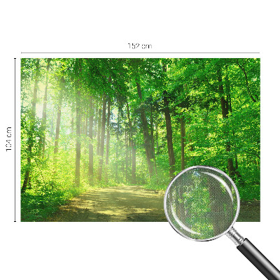 Fotomural decorativo para cabecero de cama Sendero forestal