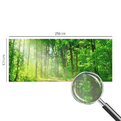 Fotomural decorativo para cabecero de cama con un motivo de sendero forestal