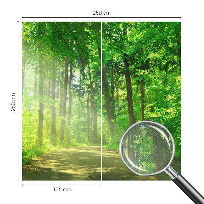 Fotomural decorativo para cabecero de cama con un motivo de sendero forestal