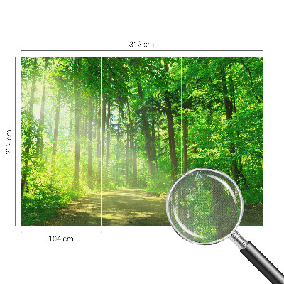 Fotomural decorativo para cabecero de cama con un motivo de sendero forestal