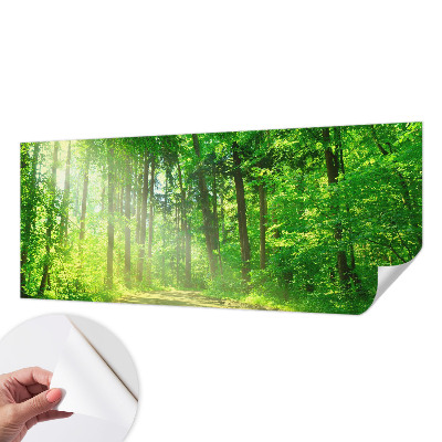 Fotomural decorativo para cabecero de cama con un motivo de sendero forestal