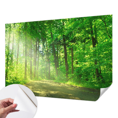 Fotomural decorativo para cabecero de cama con un motivo de sendero forestal