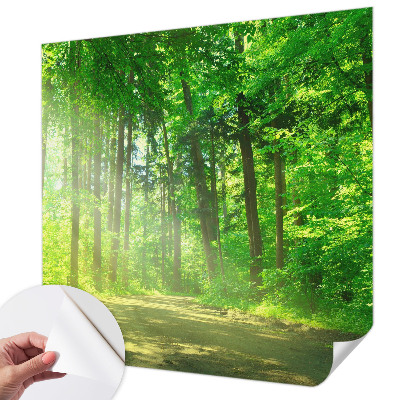 Fotomural decorativo para cabecero de cama con un motivo de sendero forestal