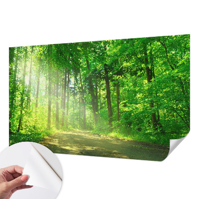 Fotomural decorativo para cabecero de cama con un motivo de sendero forestal