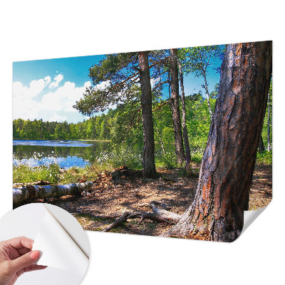 Mural de pared con estampado hermoso con un paisaje forestal
