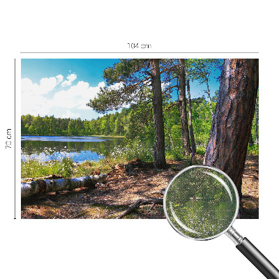 Mural de pared con estampado hermoso paisaje forestal