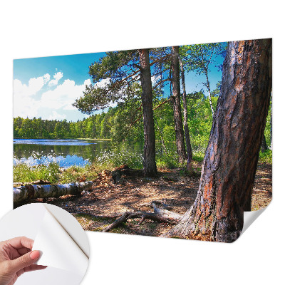 Mural de pared con estampado hermoso con un paisaje forestal