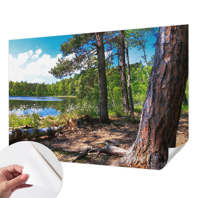Mural de pared con estampado hermoso con un paisaje forestal