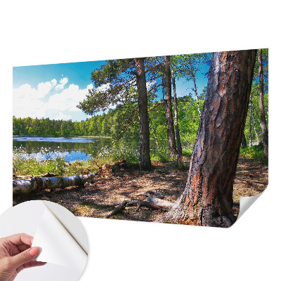 Mural de pared con estampado hermoso con un paisaje forestal