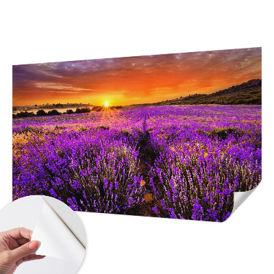 Mural de pared con estampado hermoso con motivo de atardecer en tonos lavanda