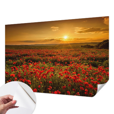 Fotomural decorativo para cabecero de cama con diseño de campo de amapolas