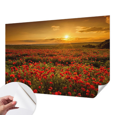 Fotomural decorativo para cabecero de cama con diseño de campo de amapolas