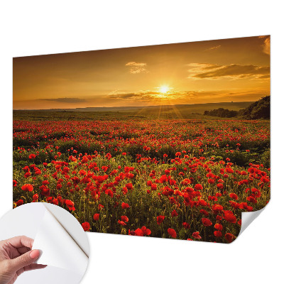 Fotomural decorativo para cabecero de cama con diseño de campo de amapolas