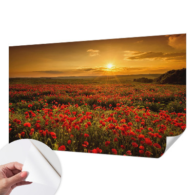 Fotomural decorativo para cabecero de cama con diseño de campo de amapolas