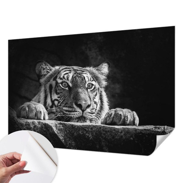 Mural de pared con estampado hermoso Mirada depredadora