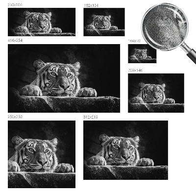 Mural de pared con estampado hermoso Mirada depredadora